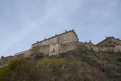 DSC_7373 (Large).JPG